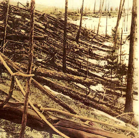 Photograph taken 19 years after the Tunguska explosion showing a forest of trees snapped off and lying flattened in one direction.